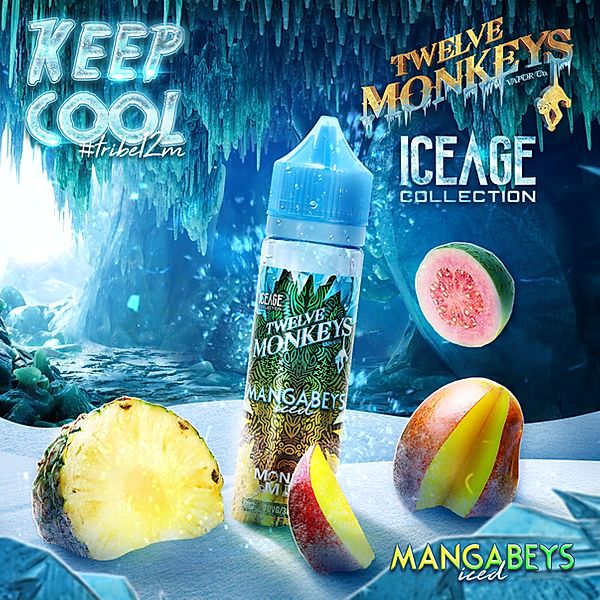 Mangabeys
